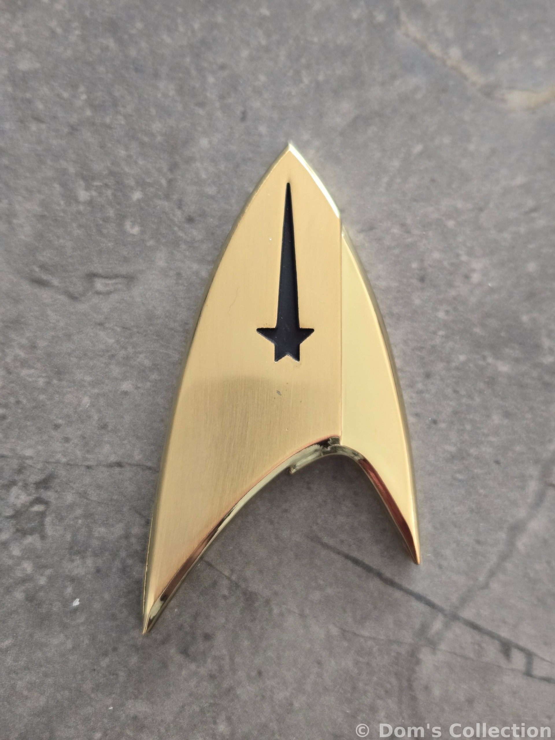 Insigne de Commandement (Discovery)